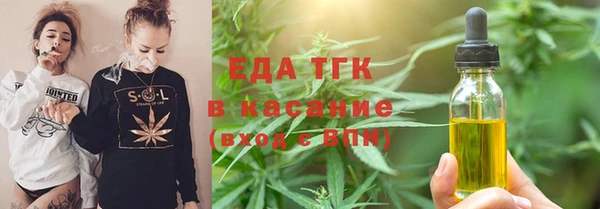 хмурый Алексин