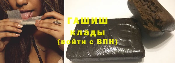 хмурый Алексин
