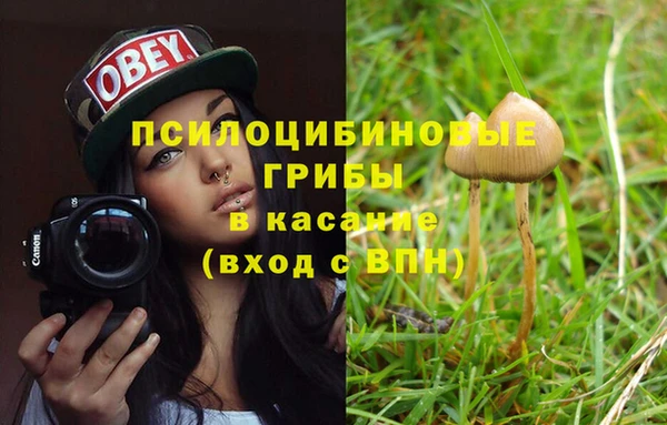 дмт Аркадак