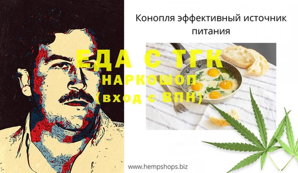 хмурый Алексин
