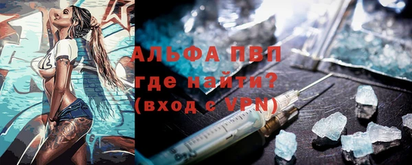 хмурый Алексин
