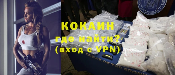 хмурый Алексин