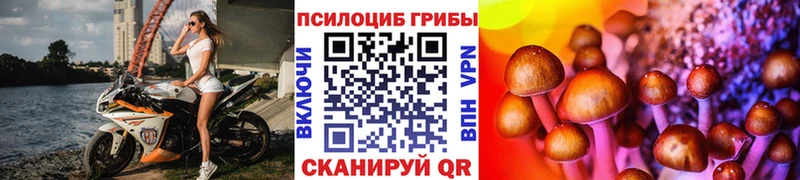 где найти Малоархангельск Псилоцибиновые грибы Psilocybine cubensis